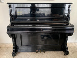 Piano Vertical Rosenkranz