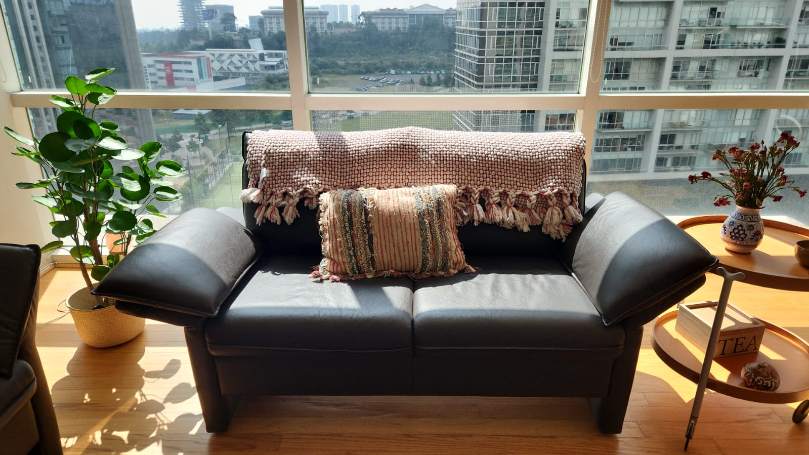 Sala de Piel de Diseño Fromholz (3 Piezas)